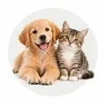 Pets