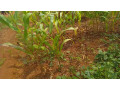 kigali-plot-for-sale-in-gahanga-kicukiro-small-6