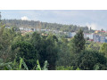 commercial-plot-for-sale-at-100m-in-good-location-small-4