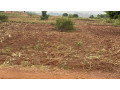 kigali-land-for-sale-in-rebero-mataba-small-0