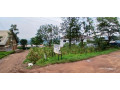plot-for-sale-in-kinyina-small-4