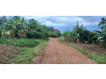 plot-for-sale-in-busanz-at-agood-place-small-3