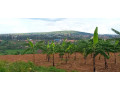 nyamata-land-for-sale-small-8