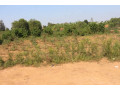 industrial-land-for-sale-in-bugesera-near-airport-of-rwanda-small-1