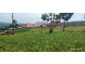 rebero-nyarurama-gatenga-plot-for-sale-small-1