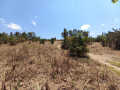 kinyinya-big-land-for-sale-small-11