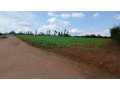 kigali-rusororo-plot-for-sale-small-0