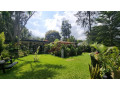 kigali-house-for-rent-in-kiyovu-small-1