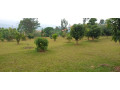 kinyaga-azam-bumbogo-plot-for-sale-small-3