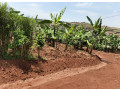 kigali-plot-for-sale-in-gahanga-small-4