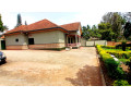 house-for-in-kagugu-at-agood-place-small-3