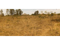 busanza-plot-for-sale-small-10