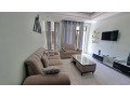 remera-fully-furnished-apartment-for-rent-in-kigali-small-0