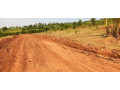 plot-for-sale-in-ndera-at-agood-place-small-1