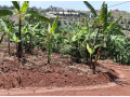kigali-plot-for-sale-in-norvege-karama-small-8