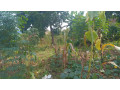 kigali-plot-for-sale-in-kinyinya-small-7