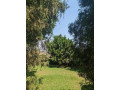 kibagabaga-house-for-rent-in-kigali-small-3