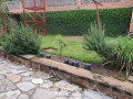 kigali-house-available-for-rent-in-nyarutarama-small-3