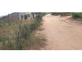 industrial-land-for-sale-in-bugesera-near-airport-of-rwanda-small-2