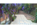 kigali-house-for-sale-in-rebero-small-9