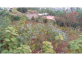 kigali-land-for-sale-in-rebero-facing-nyamirambo-side-small-7