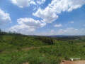 for-sale-at-kibagabaga-please-contact-me-small-0
