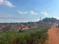ikibanza-tugurisha-23m-bumbogo-musave-small-0
