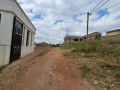 kagugu-small-5