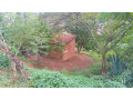 kigali-land-for-sale-in-nyamirambo-small-6