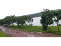 land-for-rent-in-muhazi-lake-access-on-lake-small-3