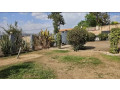 kibagabaga-small-3