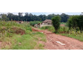 masizi-plot-for-sale-small-1