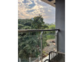 kigali-fully-furnished-apartment-for-rent-in-kiyovu-small-0