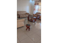 14-kibagabaga-very-nice-and-full-furnished-house-for-rent-small-6