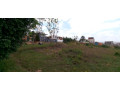 plot-forsale-in-rusororo-small-0