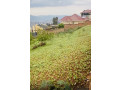 kigali-rwanda-plot-for-sale-in-rebero-small-0