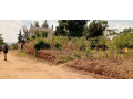 ikibanza-kigurishwa-rusororo-small-3