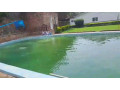 kigali-pool-house-available-for-rent-in-kiyovu-small-8