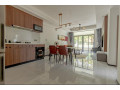 kimihurura-beautifully-furnished-apartment-for-rent-in-kigali-small-8