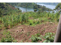 land-for-sale-in-karongi-rwanda-access-on-lake-kivu-small-1