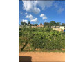 kagugu-batsinda-plot-for-sale-small-0