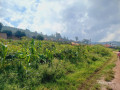 birembo-small-2