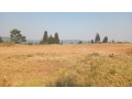 plot-for-sale-in-mt-kigali-small-5