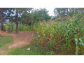 kigali-plot-for-sale-in-rebero-small-3