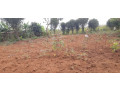residential-plot-for-sale-in-nyarugenge-kigali-small-0