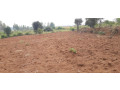land-for-sale-in-bugesera-near-airport-of-rwanda-small-0