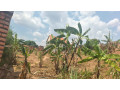 kibagabaga-mukintwali-plot-for-sale-small-2