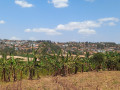 kinyinya-big-land-for-sale-small-9