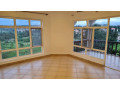 kigali-house-for-rent-in-nyarutarama-small-6