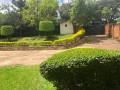 kigali-big-plot-for-sale-with-an-old-house-in-kimihurura-small-2